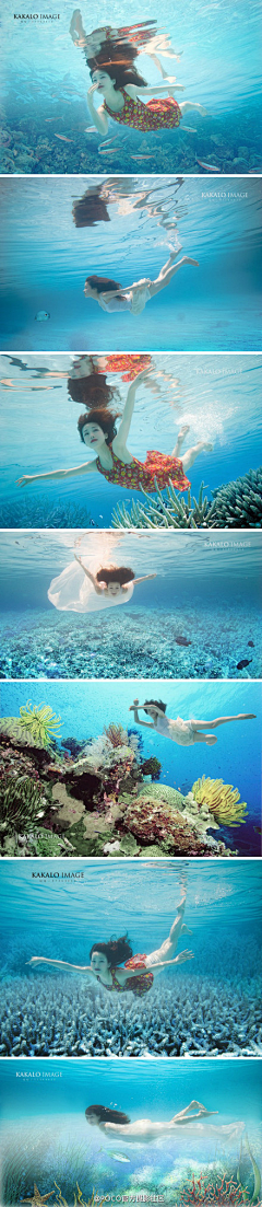 国际水下摄影大赛，探索海底奇观的简单介绍