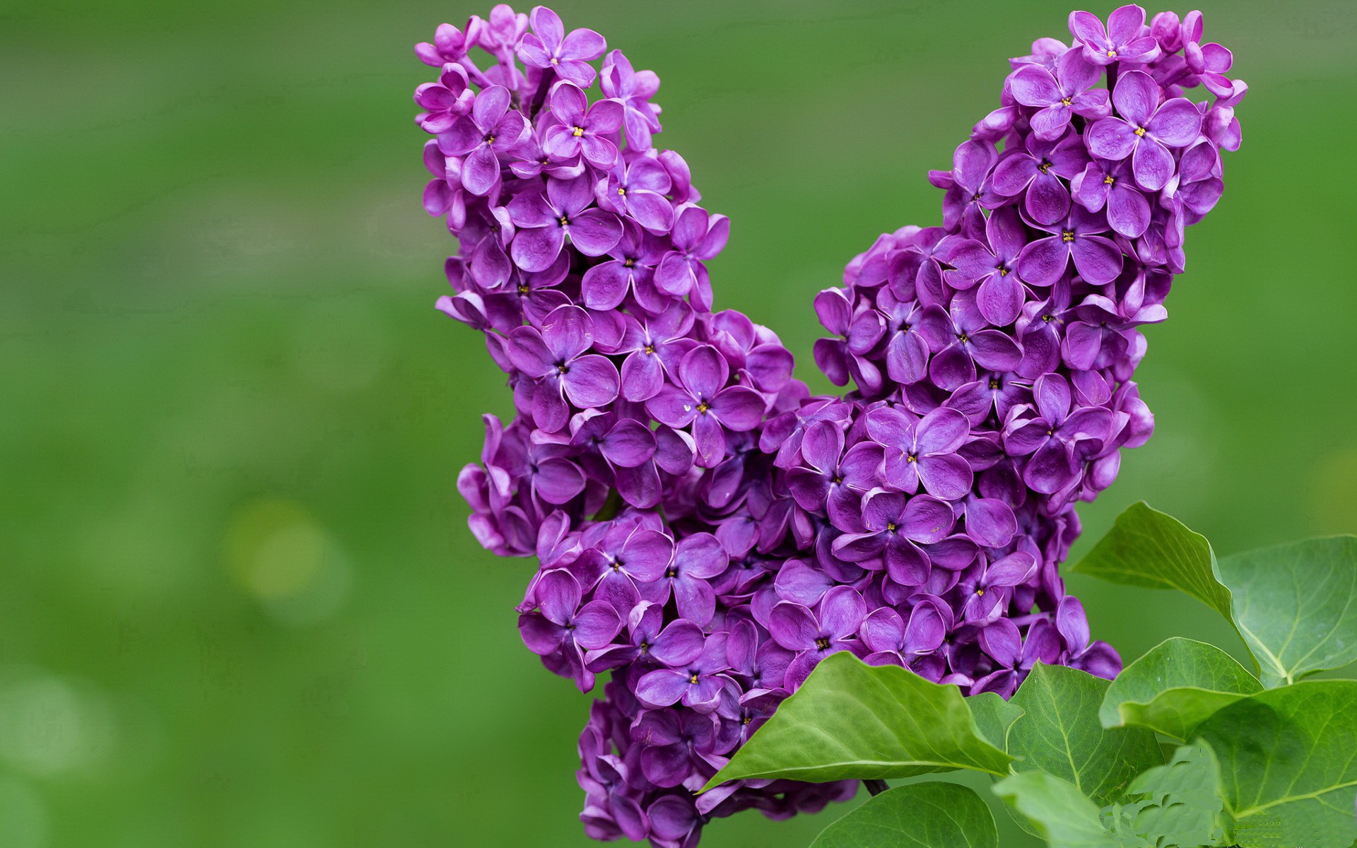 切尔西女足冠军路上关键比赛回顾,切尔西女足冠军路上关键比赛回顾录像