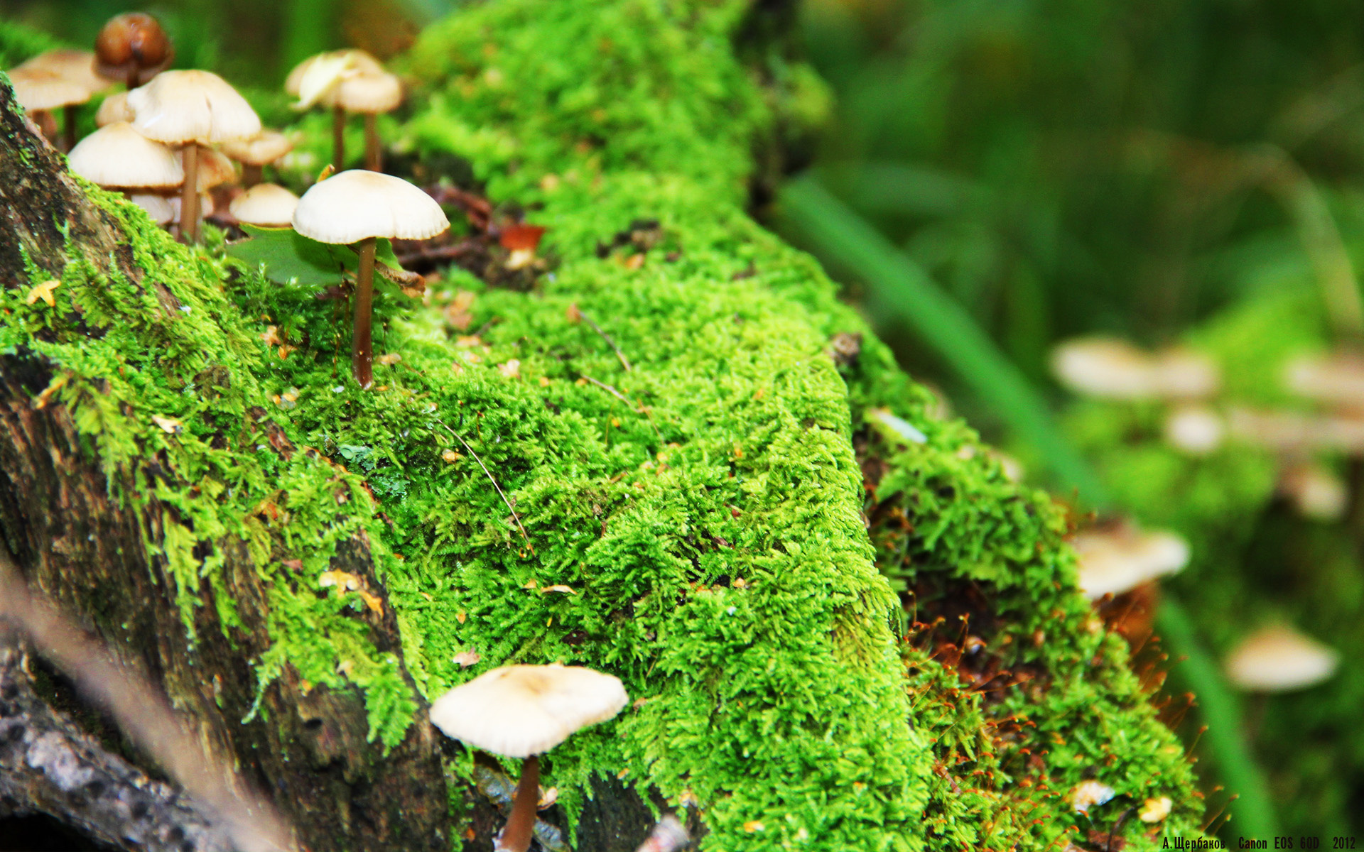 九游会-国民队年轻球员入选国家队，国民队年轻球员入选国家队了吗