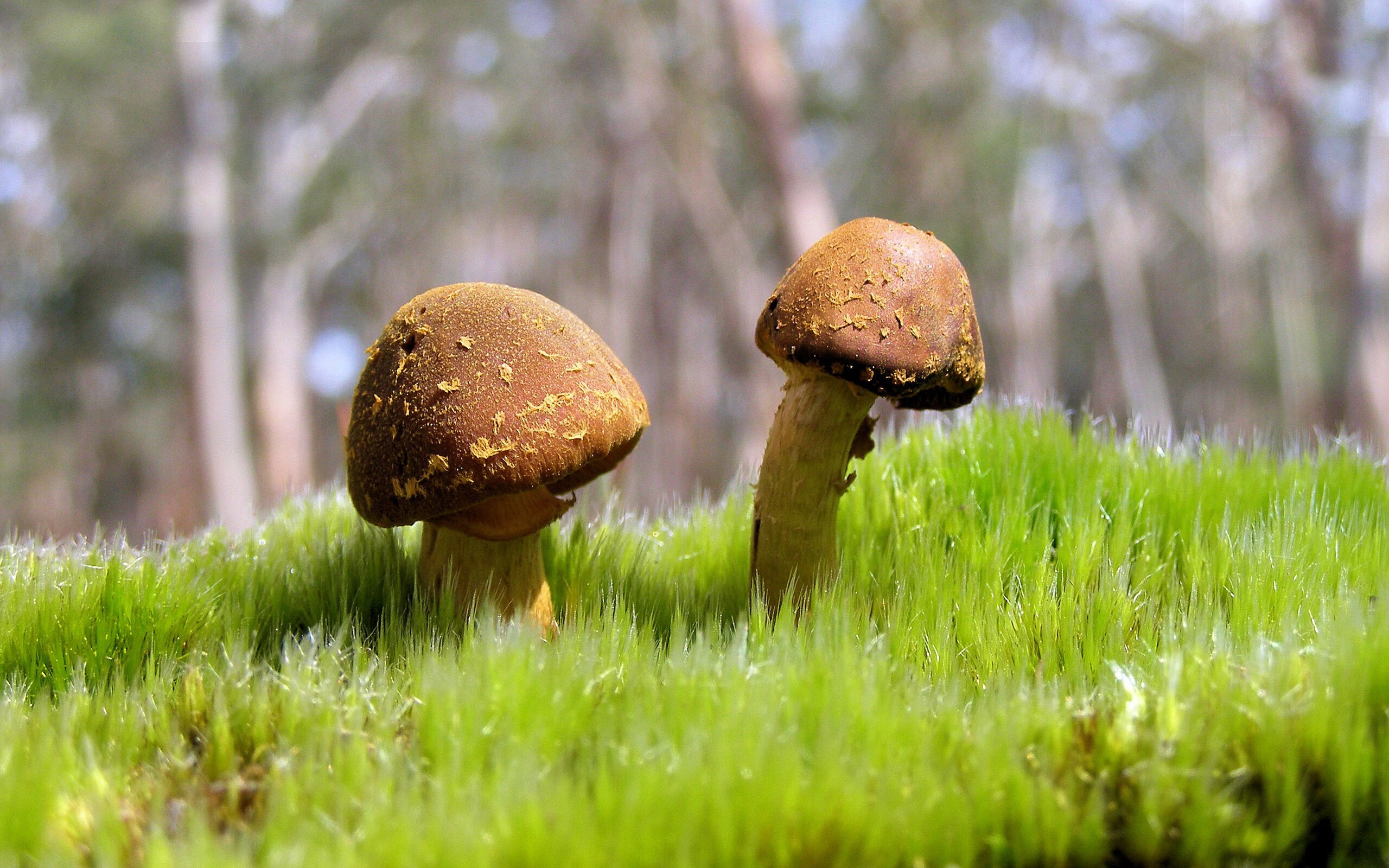 九游体育官方网站-广场舞教练员职业化进程加快，2020年广场舞教练员培训班