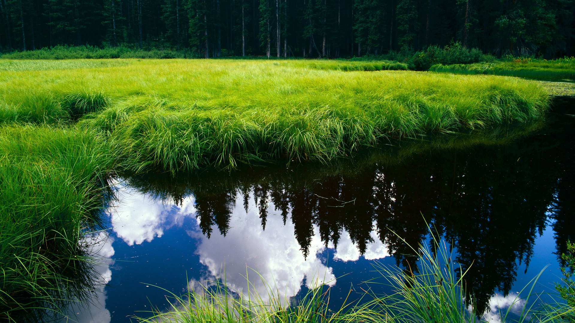 九游娱乐官网-强强对话！劲旅迎来强敌对手挑战，劲旅网官方网站