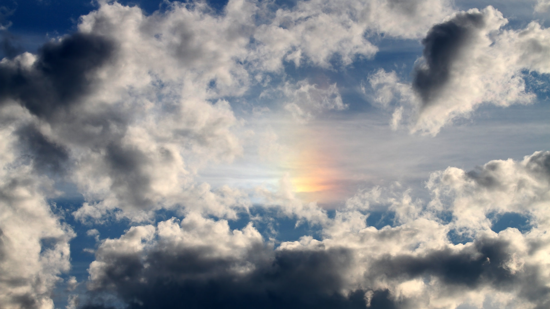 支持瑜伽教育发展，培养专业人才，业瑜伽提倡培养