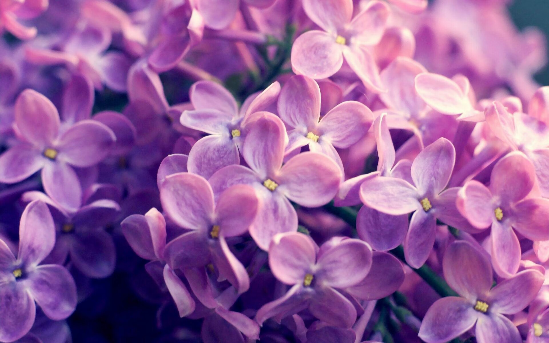 Jiuyou Sports-维达德卡萨布兰卡防线表现稳固，连续保持零封纪录，卡萨布兰卡 经典