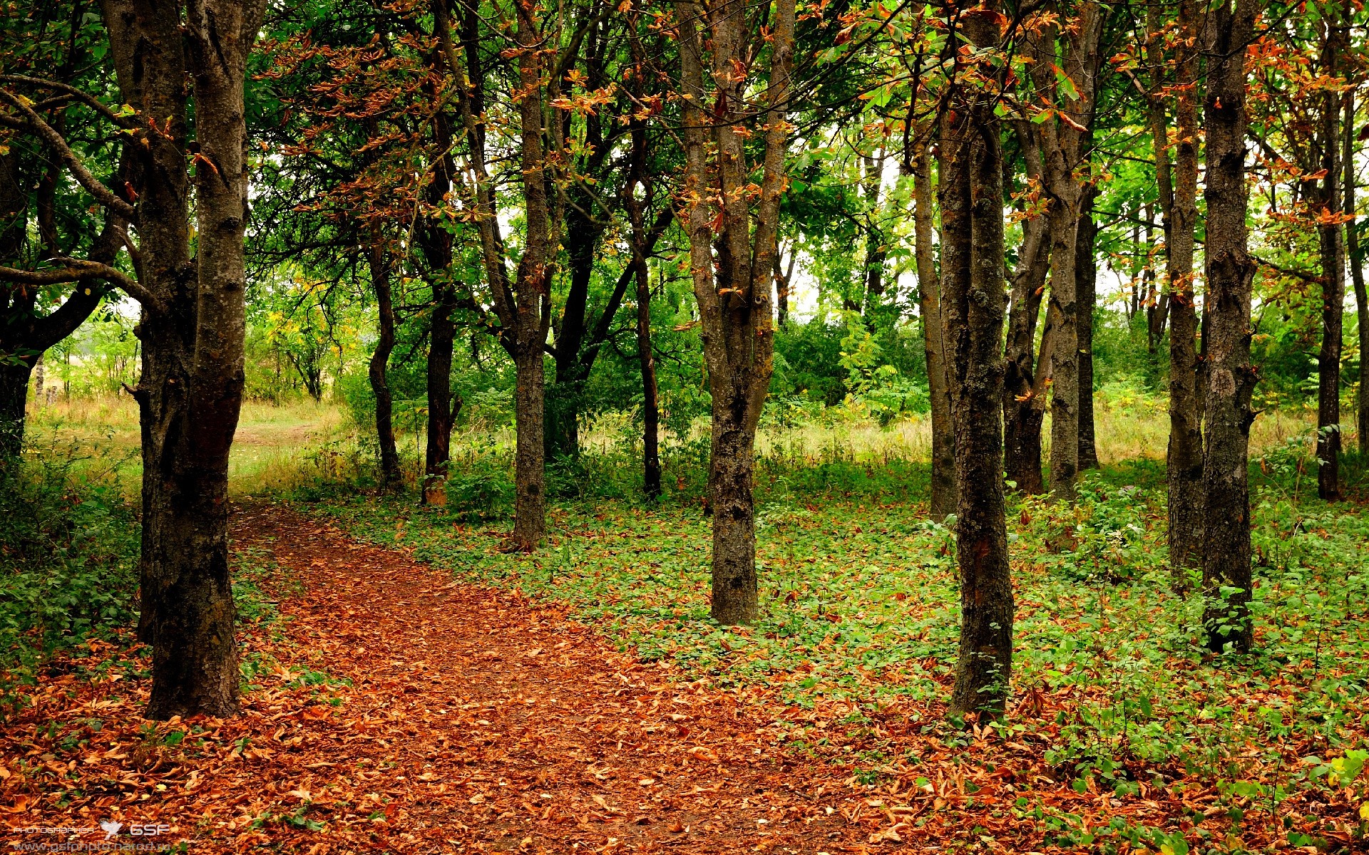 九游app下载-本土教练国际交流为何机会少，国际教练联合会认证教练