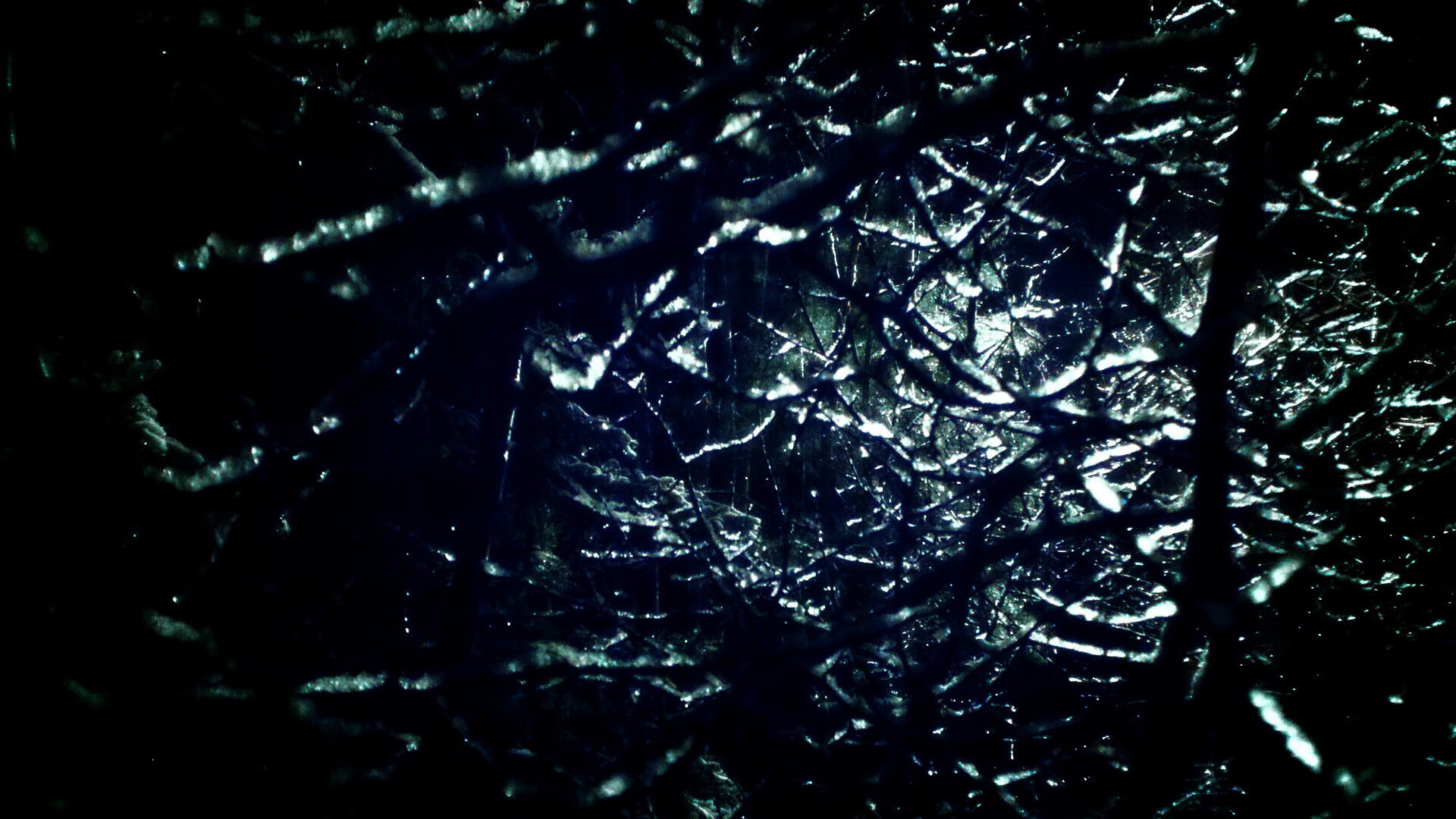 美国女子接力队赛场表现引发热议,奥运会美国女子接力赛重跑